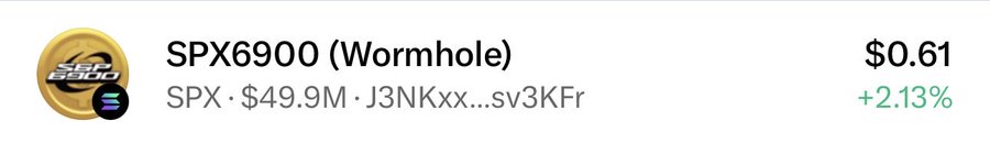 The image displays a cryptocurrency token listing for "SPX6900 (Wormhole)" priced at $0.61, showing a +2.13% gain, with a market cap of $49.9M and the contract address starting with J3NKxx...sv3KFr, complete with its gold coin logo featuring the "SPX 6900" branding and the Wormhole bridge icon. This relates to the accompanying post's frustration about X (Twitter) auto-populating the meme coin SPX6900 when users attempt to type the $SPX ticker meant for the S&P 500 index, illustrating how the meme coin's branding intentionally mimics the traditional index ticker to capture searches and mentions, potentially leading to accidental pumps across FinTwit.