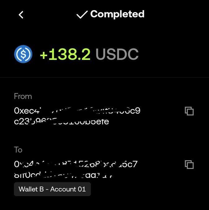 A completed crypto transaction receipt showing a transfer of +138.2 USDC between two obscured wallet addresses, with the destination labeled as Wallet B - Account 01.