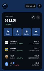 The image displays a portfolio dashboard showing a total value of $892.51 with a +$644.56 gain, including a meme coin up 1,070.85% valued at $436.25. It visually supports the post's claim of being "up $500+" on SUI meme positions, showcasing impressive individual gains like the 1,070.85% return.
