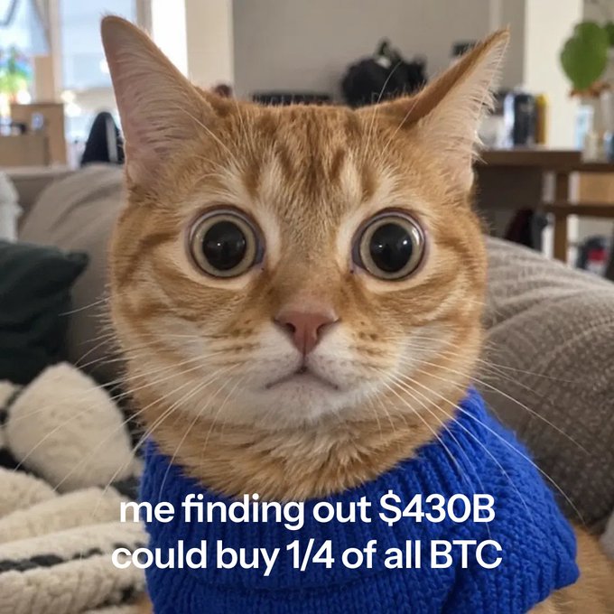 An orange tabby cat wearing a blue sweater stares wide-eyed at the camera, with overlaid text reading "me finding out $430B could buy 1/4 of all BTC" — a humorous reaction to the staggering fact that Nvidia's projected 2024 chip sales revenue ($430B) could purchase over a quarter of all Bitcoin ever mined (~5.21M BTC).
