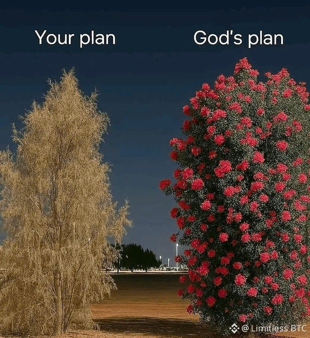 A comparison meme labeled 'Your plan' (showing a barren, leafless tree) versus 'God's plan' (showing a tree full of vibrant red flowers), credited to @Limitless BTC.