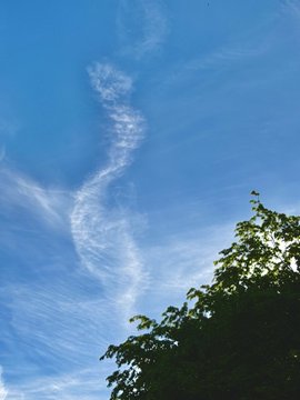A serene blue sky with wispy white cirrus clouds above the dark silhouette of tree leaves.