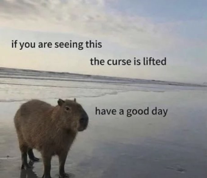 A capybara stands on a beach at sunset with the text: 'if you are seeing this the curse is lifted have a good day'.