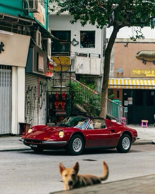 A red vintage Ferrari convertible is parked on a street with shops and a tree, while a dog looks on in the foreground.
