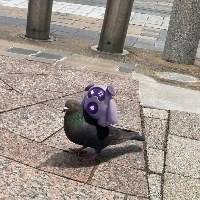 The image features a pigeon standing on a sidewalk next to a pole, with a purple bird plushie sitting on its back. The background includes a brick walkway and some buildings. The caption reads "Grand rising CT A lot of Web3 ecosystems still have the same problem: Everyone is contributing, but almost nobody can properly measure who actually creates value".