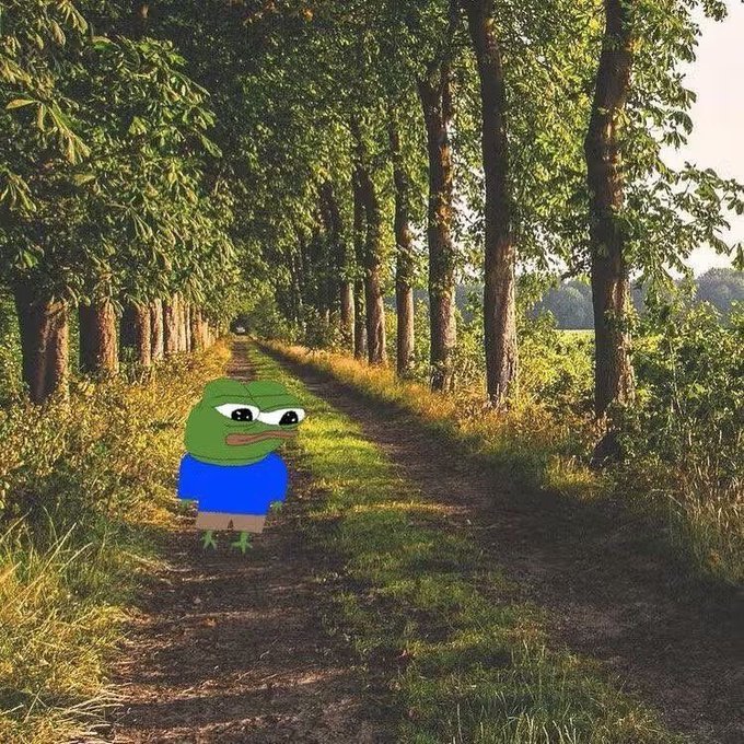 A Pepe the Frog meme character edited onto a peaceful tree-lined path in a sunlit forest setting.
