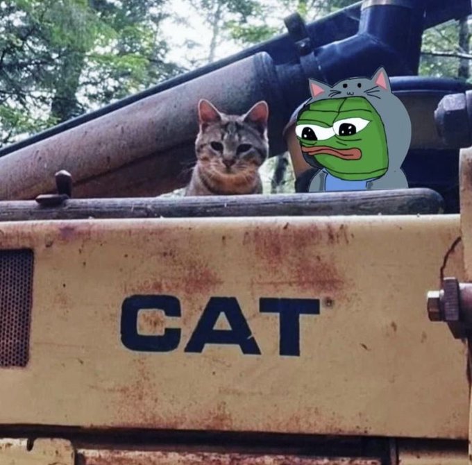 A real tabby cat sitting on a yellow Caterpillar (CAT) construction vehicle, accompanied by an edited image of Pepe the Frog wearing a cat costume.