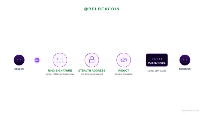 An infographic for '@BELDEXCOIN' detailing a transaction flow from SENDER to RECEIVER using 'RING SIGNATURE', 'STEALTH ADDRESS', and 'RINGCT' processes, with a 'MASTERNODE' requiring '10,000 BDX staked'.