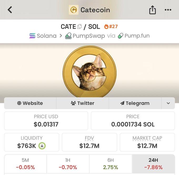 The image displays CATEcoin's (CATE/SOL) price chart on Solana via PumpSwap, showing a current price of $0.01317 (0.0001734 SOL), a market cap of $12.7M, and a notable 24H decline of -7.86%. This downtrend supports the advice to "stay sidelined on $CATE," as the token is clearly under selling pressure across multiple timeframes.