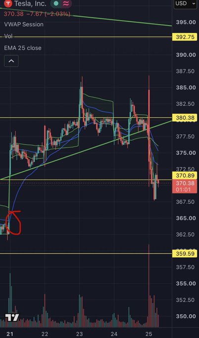 A stock chart for Tesla, Inc. (TSLA) shows a downward trend with the price at 370.38, marked down 2.08%, featuring a red hand-drawn circle highlighting a low point near 359.59 and various VWAP and EMA lines.