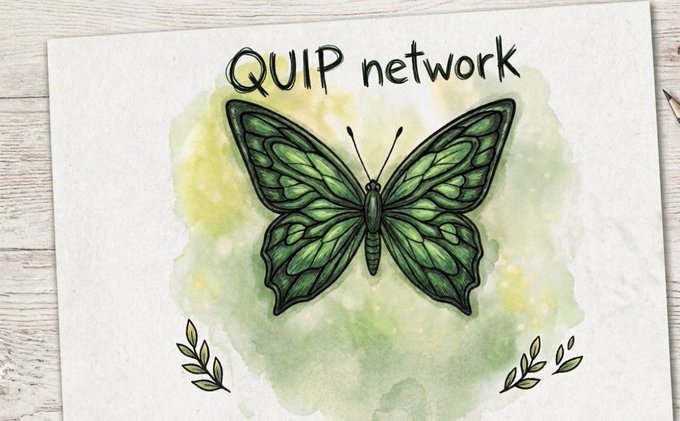 The image features an illustration of a green butterfly with its wings spread wide open against a yellow background. The butterfly appears to be floating or hovering above the text "quip network" written below it, which reads "quip network". This artistic representation creates a visual connection between the butterfly and the concept of a hybrid infrastructure in the context of the post discussing the @quipnetwork idea.