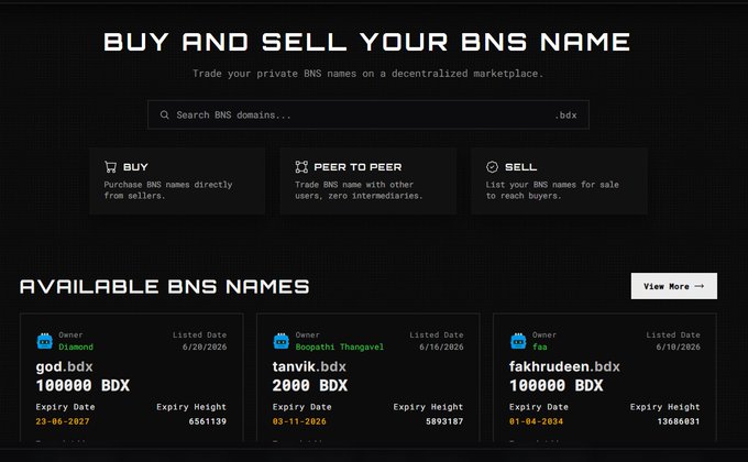 A screenshot of a dark-themed marketplace website titled "BUY AND SELL YOUR BNS NAME" for trading BNS domains, showing listings like "god.bdx" for 100000 BDX and "tanvik.bdx" for 2000 BDX.