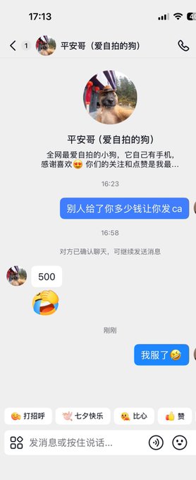 A WeChat chat screenshot with "平安哥 (爱自拍的狗)" (Brother Ping'an, the selfie-loving dog) shows the user sending 500 yuan and asking "别人给了你多少钱让你发ca" (How much did someone pay you to post this CA?), followed by "我服了🤣" (I'm impressed/done for), illustrating the post's point about Douyin influencers being paid to shill crypto tokens.