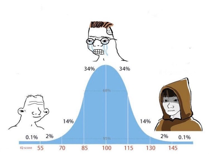 An IQ bell curve meme with the brainlet crying wojak at the peak (34% on each side), a basic wojak on the lower left (14%), and a hooded 'soyjak' figure on the lower right (14%).