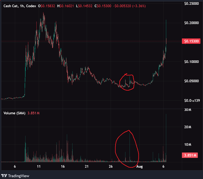 A 1-hour candlestick chart of Cash Cat (CASH CAT) shows a circled period of low trading activity and price consolidation around $0.05, which precedes a massive rally to $0.20 — sarcastically referenced in the post as "very smart investors" who bought during the quiet accumulation phase before the meme-driven pump.