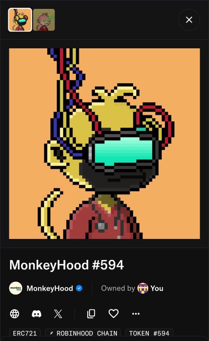 A digital collectible interface displaying a pixel art NFT titled 'MonkeyHood #594' owned by the user on the Robinhood Chain.