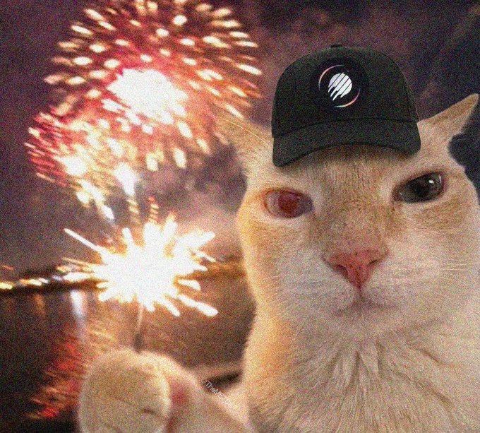 A white cat wearing a black cap with a circular logo poses in front of colorful fireworks, perfectly tying into the celebratory "$METCAT" theme of community victory.