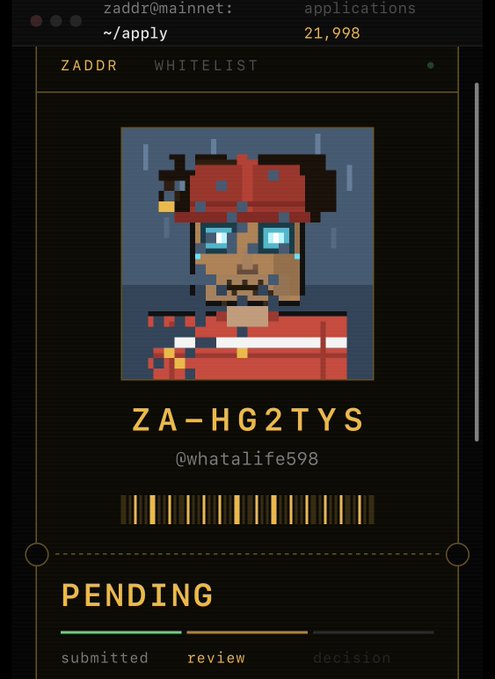 A pixel-art NFT application screen titled 'ZADDR WHITELIST' displaying a character avatar, the identifier 'ZA-HG2TYs' with handle '@whatalife598', and a progress bar showing the application status as 'PENDING' under 'zaddr@mainnet: ~/apply'.