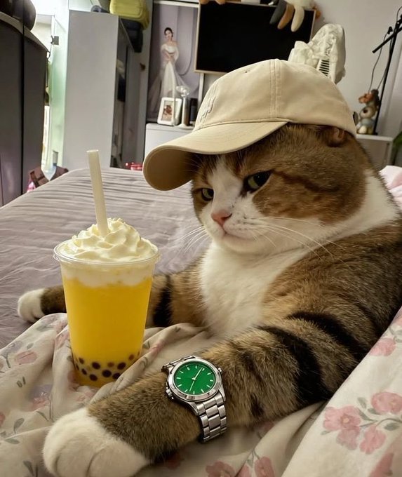 A cat wearing a beige cap lounges on a bed with bubble tea and a green-faced Rolex on its paw, fitting a relaxed "good afternoon frens" vibe.