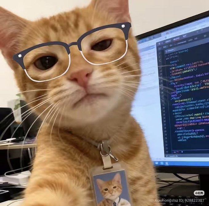 An orange tabby cat wearing black-rimmed glasses and a lanyard with an ID badge, sitting in front of a computer monitor displaying lines of code.
