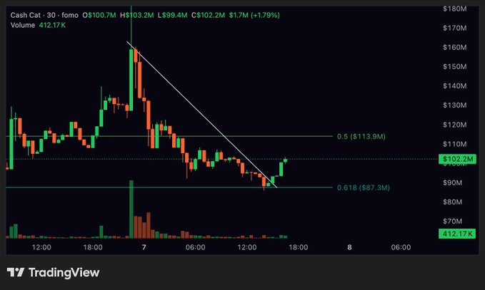 Cash Cat ($CASHCAT) 30-minute chart showing a price of $102.2M (+1.79%) after bouncing off the 0.618 Fibonacci retracement level at $87.3M, confirming the post's observation of a potential bottom with the descending trendline break.