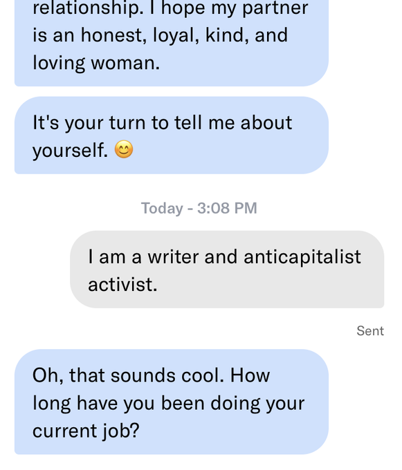 Text message conversation where someone describes their ideal partner as honest, loyal, kind, and loving, while the other reveals they are a writer and anticapitalist activist.