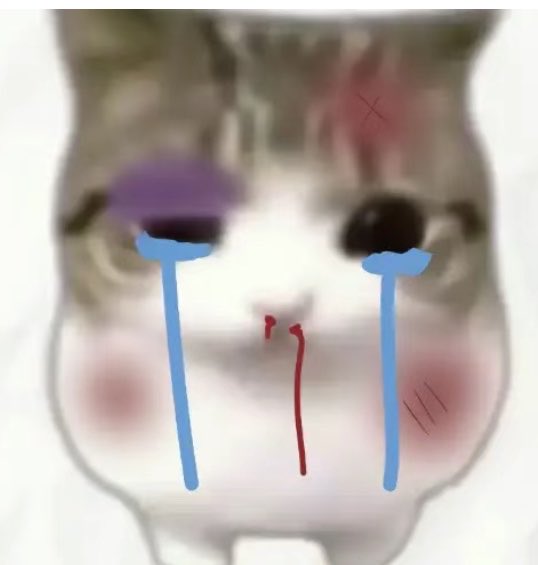 This image shows a distressed cat with drawn-on tears and bruises, perfectly illustrating the feeling of despair before the user found success in the crypto market. The accompanying post humorously contrasts the cat's plight with their recent financial gains in crypto trading.