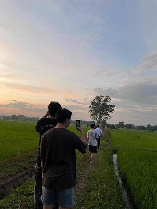 Three young men stand in a lush green rice field at sunset, with one holding a smartphone to capture the scenic view of the colorful sky and distant tree.
