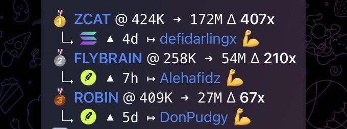 A screenshot listing crypto token performances: ZCAT (@424K → 172M, 407x), FLYBRAIN (@258K → 54M, 210x), and ROBIN (@409K → 27M, 67x), attributed to users defidarlingx, Alehafidz, and DonPudgy.