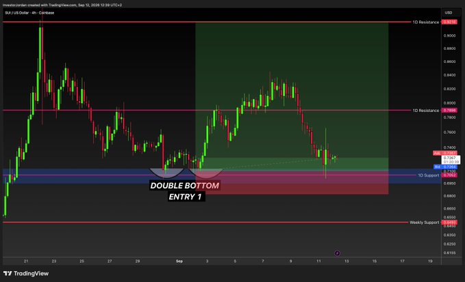 A TradingView 4-hour chart of SUI/USD displays a "Double Bottom" pattern labeled "Entry 1" near the $0.72 support level (marked "1D Support"), with horizontal resistance lines at $0.75 ("1D Resistance") and $0.91 ("1D Resistance"), illustrating the analyst's successful buy at major support.