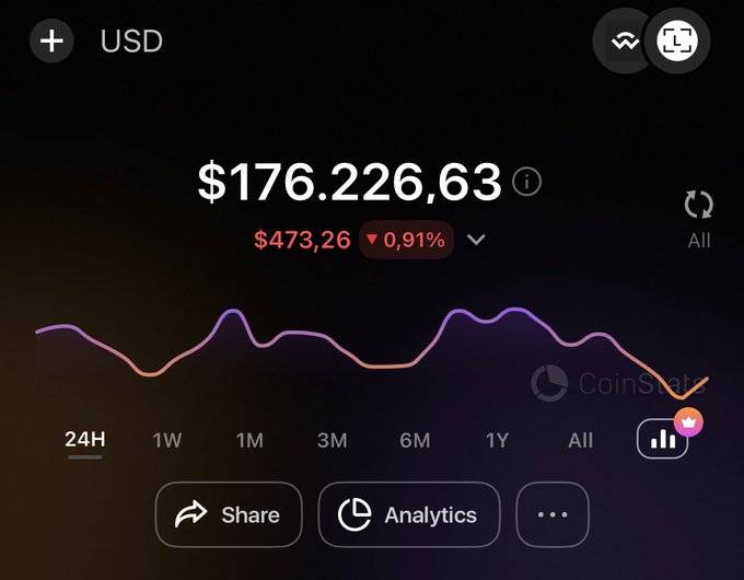 A screenshot of a cryptocurrency or stock tracking app showing a portfolio value of '$176.226,63' with a downward trend of '$473,26 (0,91%)' over the 24H timeframe, watermarked with 'CoinStats'.