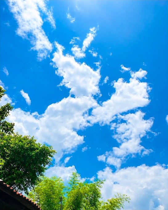 A view looking up at a bright blue sky with scattered white clouds, framed by green tree foliage and a roof edge in the lower left.