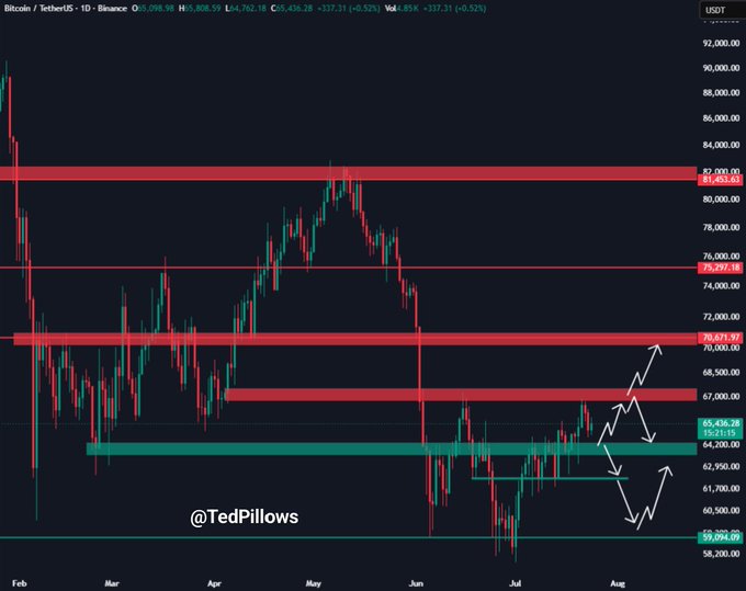 A Bitcoin/TetherUS daily candlestick chart on Binance, tagged @TedPillows, shows BTC trading at $65,436.28 (up +0.52%) with key support at the $65,000 level highlighted in green, while white arrows in the August projection suggest a potential upward move toward the $70,671.92 resistance zone—visually reinforcing the post's claim that Bitcoin is holding above $65K and signaling strength despite broader market weakness.