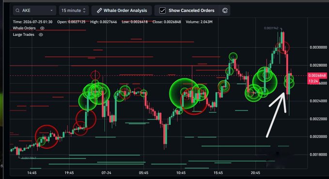 Whale Order Analysis chart on a 15-minute timeframe for ticker 'AKE' dated July 25, 2026, displaying green and red whale order circles overlaid on candlestick price action.