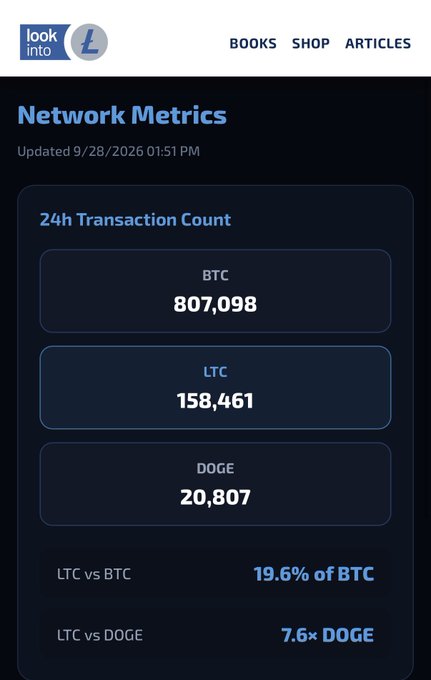 A dark-themed digital dashboard titled 'Network Metrics' shows 24-hour transaction counts for BTC (807,098), LTC (158,461), and DOGE (20,807), with the 'look into' logo at the top.