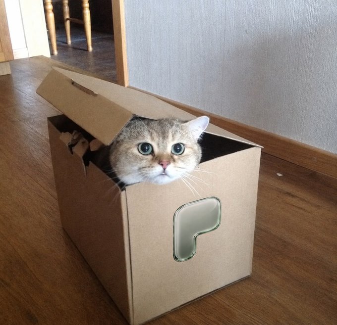 A cat with a flat face poking its head out of a cardboard box on a wooden floor.