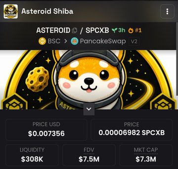 A cryptocurrency tracker showing the 'Asteroid Shiba' token (ASTEROID / SPCXB) trading on PancakeSwap V2 with a price of $0.007356, liquidity of $308K, and market cap of $7.3M.