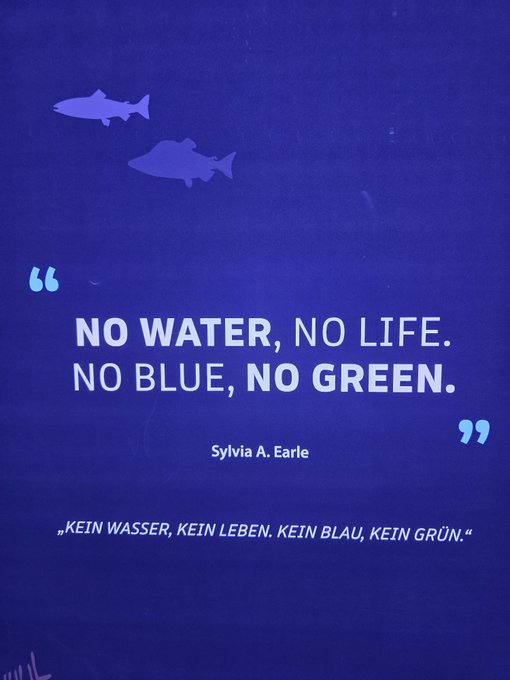 A blue poster featuring fish silhouettes and a quote: "NO WATER, NO LIFE. NO BLUE, NO GREEN." by Sylvia A. Earle, with the German translation below.