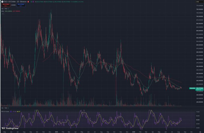A TradingView candlestick chart for ORO/USD displaying price action from 2023 to 2024, with a Stochastic RSI indicator at the bottom and a current price of 278.53.