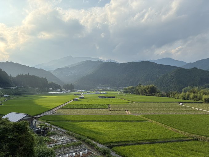 A scenic landscape view of green rice paddies in a valley with misty mountains in the background and a bright, cloudy sky.