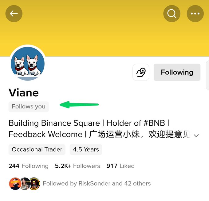 A social media profile for 'Viane' showing 'Follows you' highlighted with a green arrow, with bio reading 'Building Binance Square | Holder of #BNB | Feedback Welcome | 广场运营小妹，欢迎提意见', labeled as an 'Occasional Trader' with 5.2K+ followers.