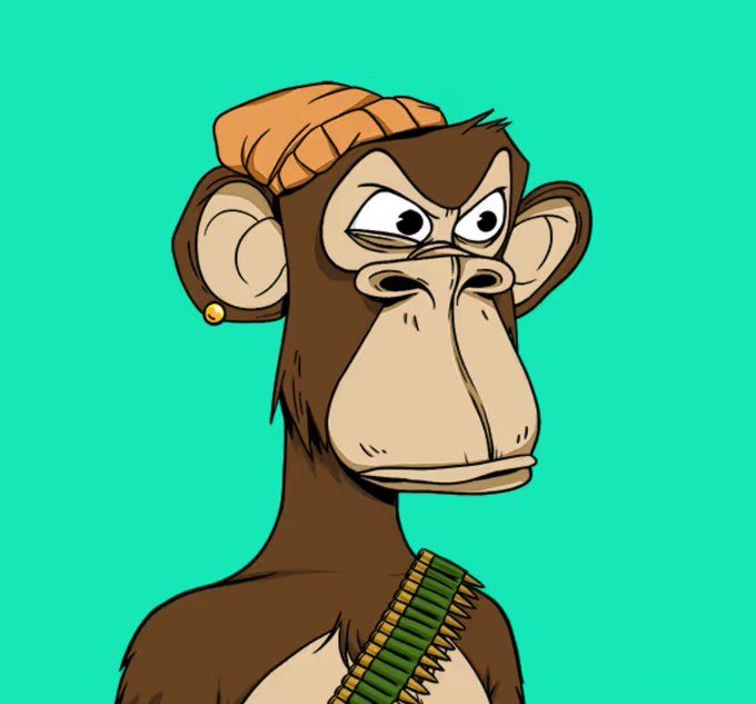 A cartoon illustration of a brown monkey character wearing an orange beanie and a gold earring, with a bandolier of bullets across its chest, set against a teal background.