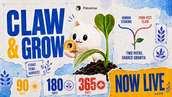 A promotional graphic for Pieverse's "Claw & Grow" staking program, featuring a cute white cat character holding a coin next to a sprouting plant, with options to stake $PIEVERSE for 90, 180, or 365 days under "Human Staking" (1x XP) or "Purr-Fect Claw" (1.1x XP), marked as "NOW LIVE."