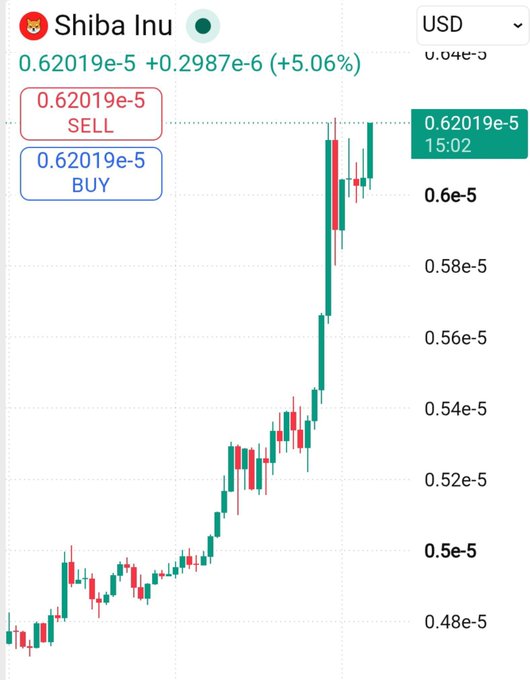 A Shiba Inu (SHIB) cryptocurrency price chart in USD shows a sharp upward rally, with the price rising from around 0.48e-5 to 0.62019e-5, representing a 5.06% gain—visually confirming the post's celebratory message about the asset's recent pump.