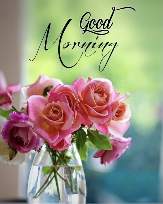 A glass vase holds a bouquet of pink and peach roses with green foliage, overlaid with elegant cursive text reading "Good Morning" against a soft green bokeh background.

The cheerful "Good Morning" greeting and fresh blooms complement the post's uplifting tone, symbolizing a fresh perspective and new beginnings in the author's Web3 journey toward sharing more meaningful content.