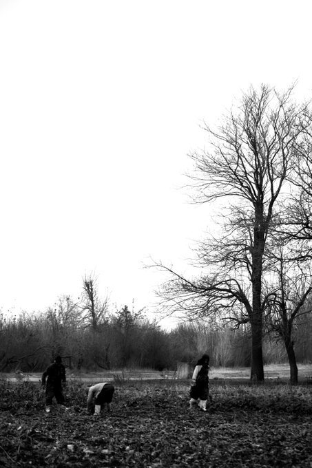 A black and white photograph shows two figures working in a field beneath a large, bare tree against a pale, overcast sky.