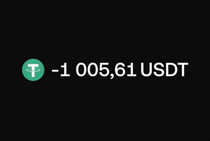 A digital wallet display showing a balance of "-1 005,61 USDT" next to a green Tether (USDT) logo on a black background.
