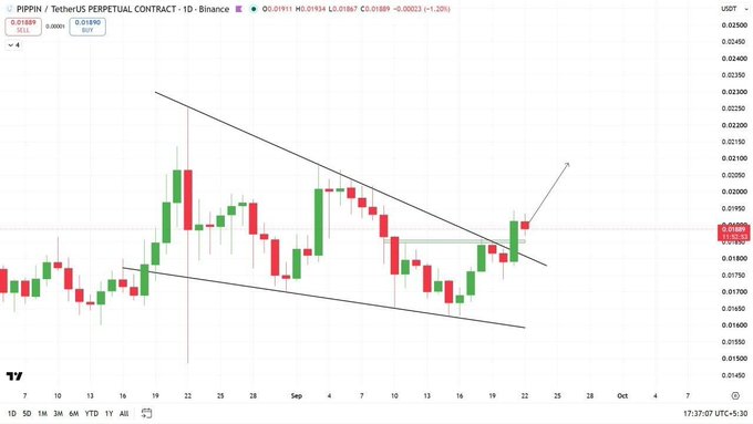 A cryptocurrency candlestick chart for PIPPIN / TetherUS perpetual contract on Binance, showing a descending channel pattern with price at 0.01880 USDT.