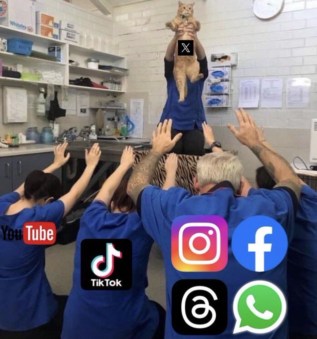 A team of veterinary staff in blue scrubs raise their arms in unison while holding an orange cat overhead, with social media icons for YouTube, TikTok, Instagram, Facebook, Threads, and WhatsApp overlaid across the image. The X (formerly Twitter) icon at the top corresponds to the post's "𝕏" text, symbolizing the platform's addition to the lineup of social media channels.