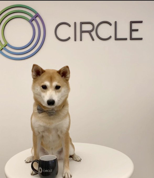 A Shiba Inu wearing a bow tie sits on a white table in front of a "CIRCLE" logo, with a black "CIRCLE" branded mug placed in front of it—playfully promoting "Circle Inu" as the dog represents the meme token referenced in the post.